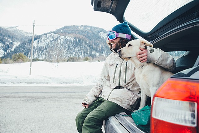 Homme avec chien, coffre voiture ouvert, voyager en voiture, camping-car, RV.