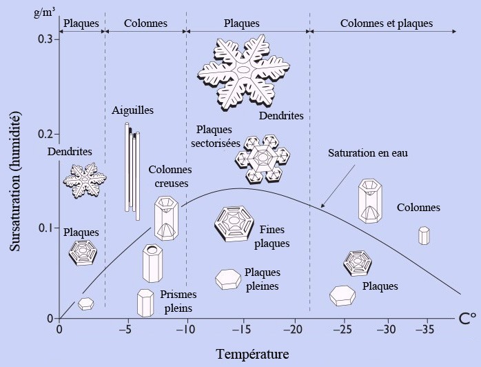 Les types de flocons de neige