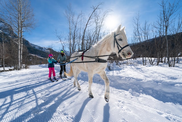 ski joring, ski joering, pelvoux, vallouise, pays des écrins